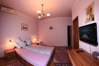 Гостевой дом Pensiunea Radena Арад Двухместный номер с 1 кроватью или 2 отдельными кроватями-3