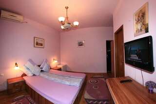 Гостевой дом Pensiunea Radena Арад Двухместный номер с 1 кроватью или 2 отдельными кроватями-28