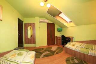 Гостевой дом Pensiunea Radena Арад Двухместный номер с 1 кроватью или 2 отдельными кроватями-34
